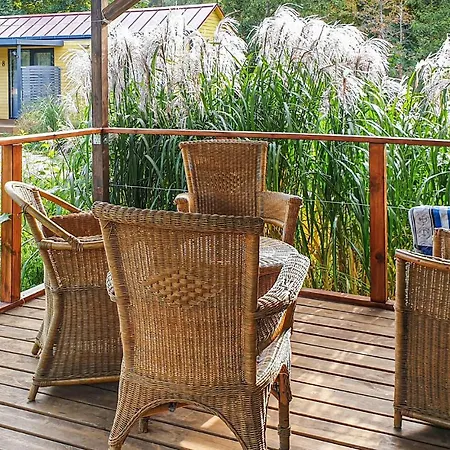 In With View * بيسكوبييت